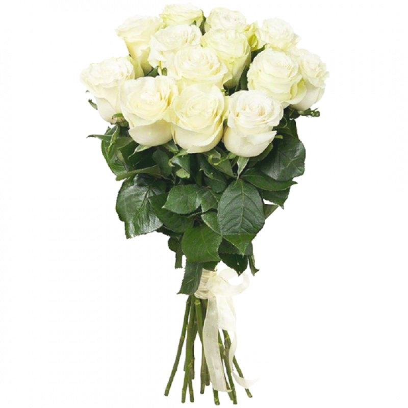 Букет белых роз «Скромная леди»
