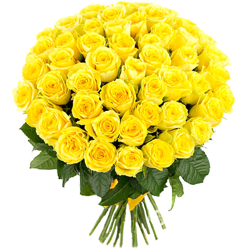 Букет желтых роз «Золотые локоны»