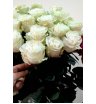 Роза белая Мондиаль 1