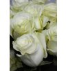 Роза белая Мондиаль 4
