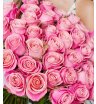Роза розовая Хермоза 3