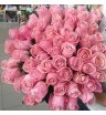 Роза розовая Хермоза 5