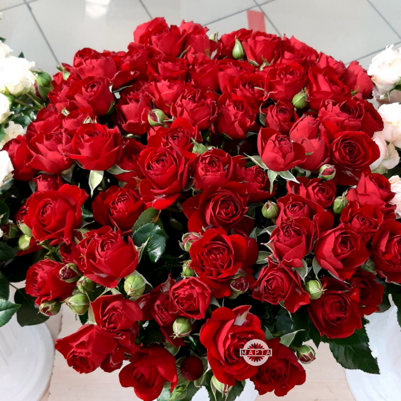 Букет кустовых роз «Мадрид» 1