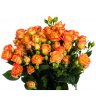 Роза кустовая оранжевая 3
