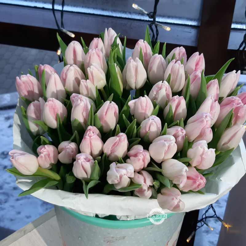 Тюльпаны нежно-розовые 2