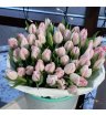 Тюльпаны нежно-розовые 2