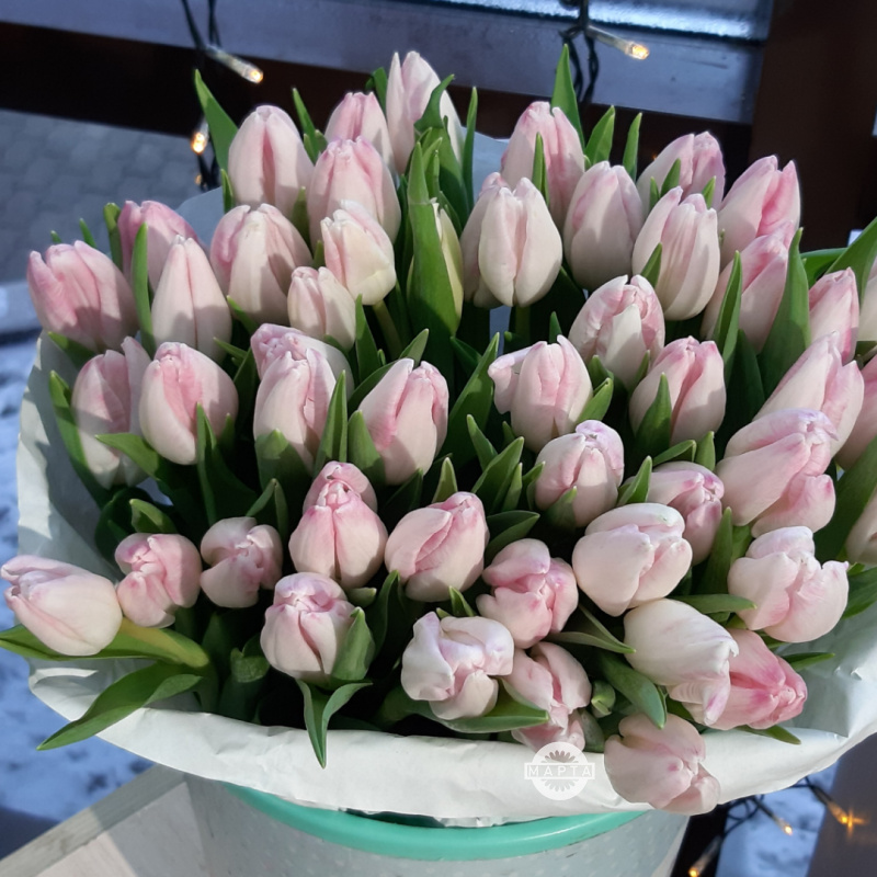 Тюльпаны нежно-розовые 1