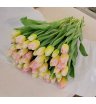 Тюльпаны розово-кремовые