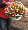 Корзина с тюльпанами «Фейерверк» 2