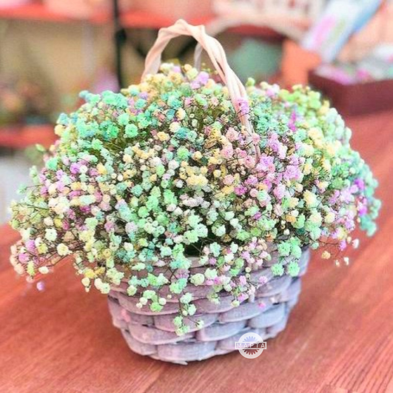 Цветы в корзине «Лукошко гипсофилы»